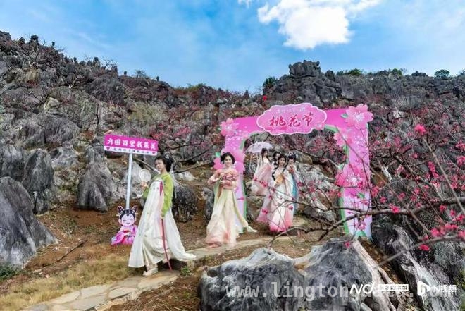 广东清远“锦绣花海”之旅，开启春日乡村浪漫游