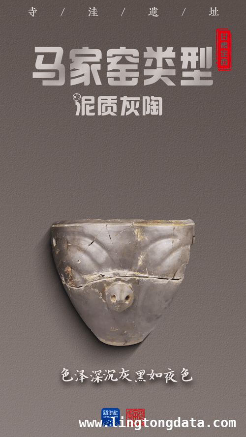 考古大发现！寺洼遗址勾勒5000年前社会图景 寺洼遗址新成果，丰富中华文明黄河上游起源内涵