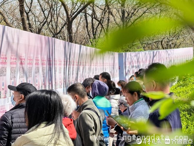 第19届千佛山相亲大会：定制服务与数字产品共筑交友盛宴