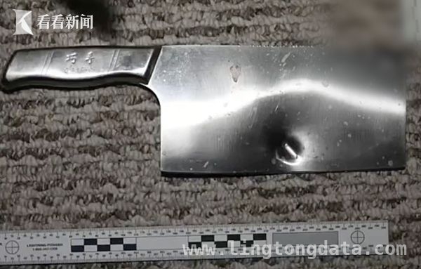 洛杉矶华裔女子纵火拒捕，案件起因成谜 华裔女子纵火拒捕，最终命丧枪下！