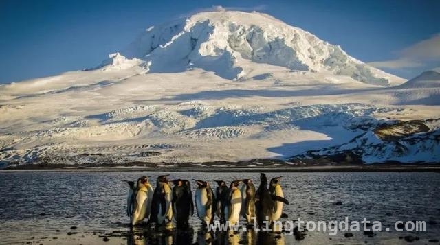 美国加征关税名单现意外：澳大利亚海外无人岛在列