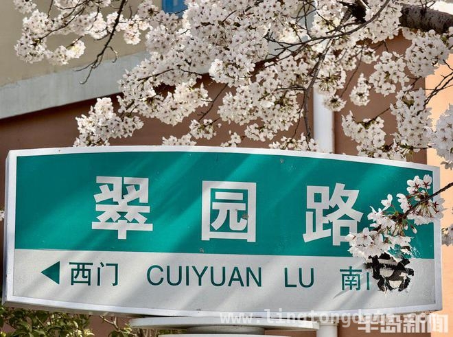 赏樱好去处！翠湖社区樱花节开启梦幻之旅