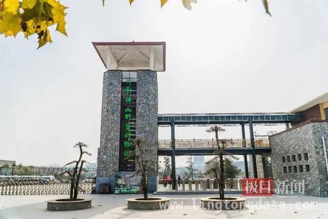 河北邯郸：熊从动物园出逃，周边安全受关注，佛山野生动物园熊出逃，官方紧急闭园处置