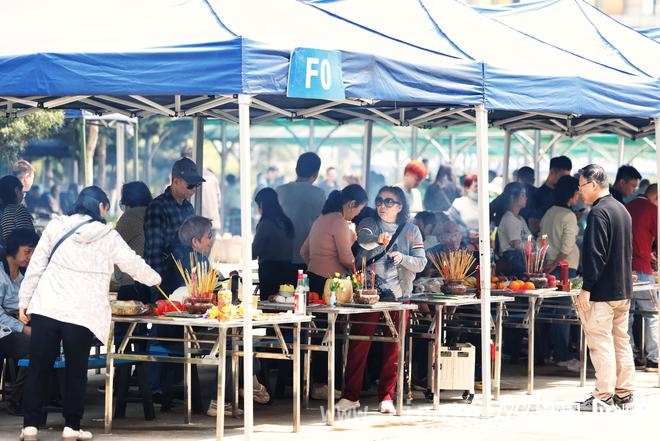 4月广州清明祭扫情况：预约人数众多，园区准备充分，清明广州：69万人预约祭扫，学生缅怀“沙基惨案”英烈