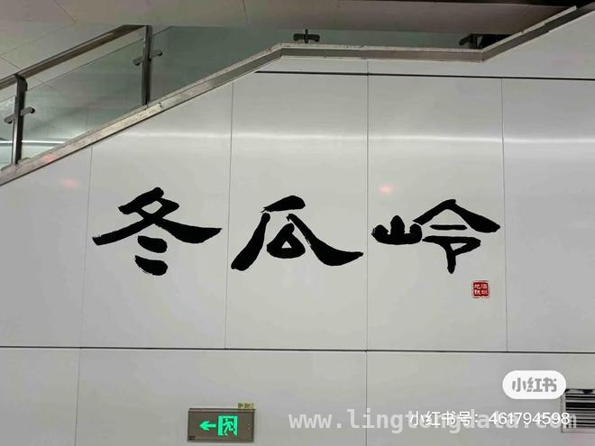 深圳地铁10号线，圆76岁“山西姥爷”书法梦 “山西姥爷”赴深圆梦，深圳温度暖人心扉