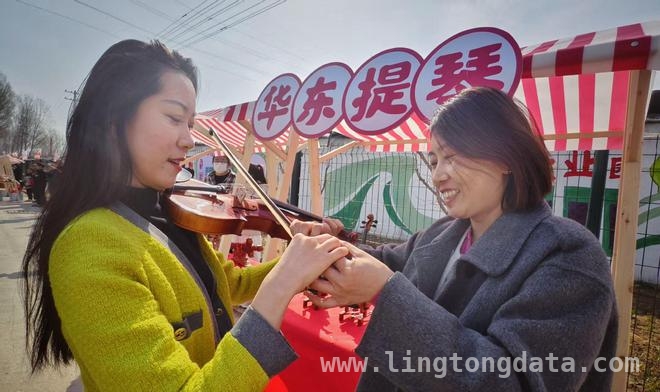 东高村镇农业嘉年华：解锁田园新玩法，畅享春日好时光 西红柿尝鲜季，东高村镇现代农业嘉年华邀您共赴田园之约