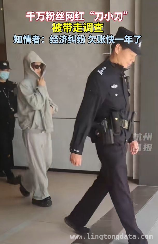 从一夜爆红到被调查，网红“刀小刀”的命运转折！，千万网红“刀小刀”被警方带走，背后真相令人咋舌！