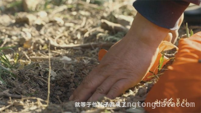 志愿者与社会各界携手，让烈士与亲人跨越时空“团圆”，山河念英烈：寻亲、画像，温暖烈属心