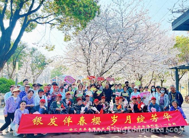 徐汇区为长者打造春日赏樱活动，提升晚年幸福感 “银发伴春樱”：徐汇长者踏青赏樱，感受春日温暖
