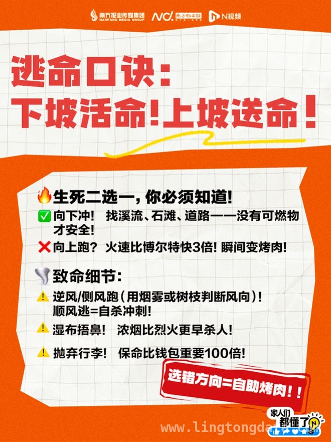 山火肆虐：春季防火形势严峻，人为因素成主因