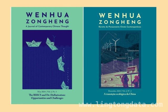 2025，全球南方崛起正当时！ 全球南方：挣脱旧枷锁，迈向新未来