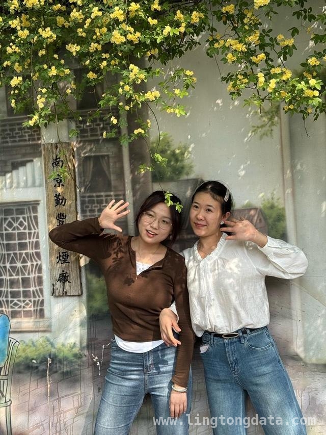 碑亭巷花事盛，木香花开映古墙
