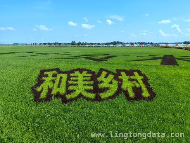 4月2日！九台贡米品牌品质管理规范重磅发布 九台贡米：以规范为翼，飘香全国不是梦！