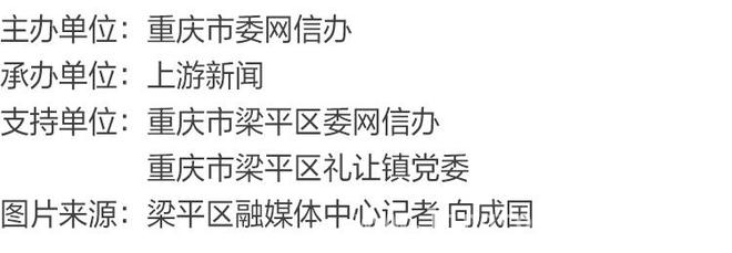 打卡川西村，领略乡村振兴新奇迹！，渝见“村”光，川西村产业发展闪耀之路