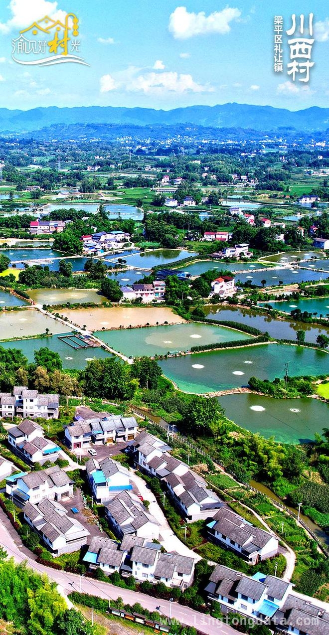 打卡川西村，领略乡村振兴新奇迹！，渝见“村”光，川西村产业发展闪耀之路