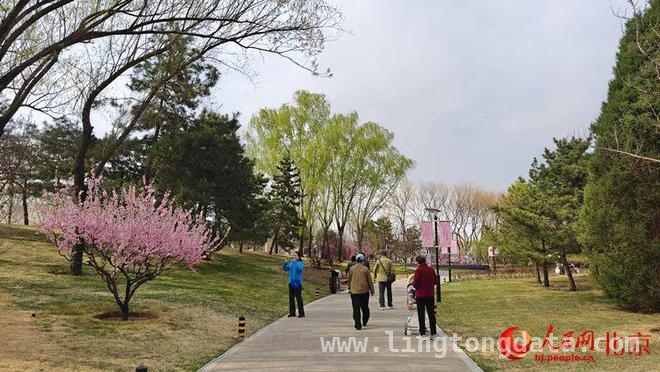 春日盛宴！第二届北京朝阳花园节在北小河公园浪漫启幕