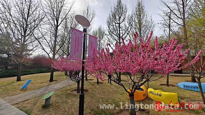 春日盛宴！第二届北京朝阳花园节在北小河公园浪漫启幕