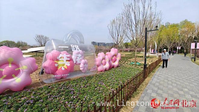 春日盛宴！第二届北京朝阳花园节在北小河公园浪漫启幕
