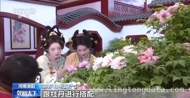 清明踏春：从赏花新玩法到慢节奏旅行新风尚