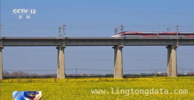 清明踏春：从赏花新玩法到慢节奏旅行新风尚