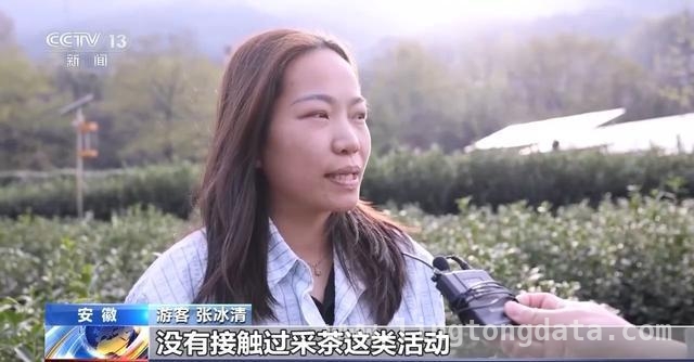清明踏春：从赏花新玩法到慢节奏旅行新风尚