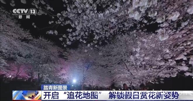 清明消费新图景：赏花、乡野与慢节奏的碰撞，清明假期消费新玩法，你跟上了吗？
