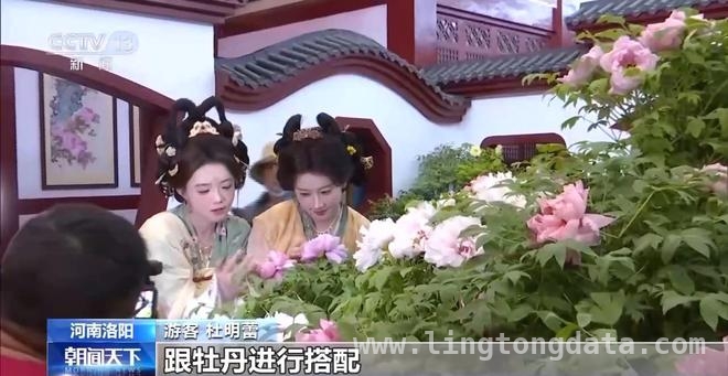 清明消费新图景：赏花、乡野与慢节奏的碰撞，清明假期消费新玩法，你跟上了吗？