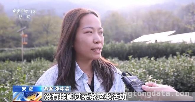 清明消费新图景：赏花、乡野与慢节奏的碰撞，清明假期消费新玩法，你跟上了吗？