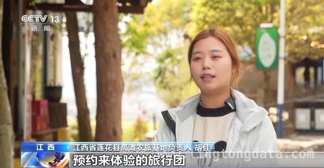 清明消费新图景：赏花、乡野与慢节奏的碰撞，清明假期消费新玩法，你跟上了吗？