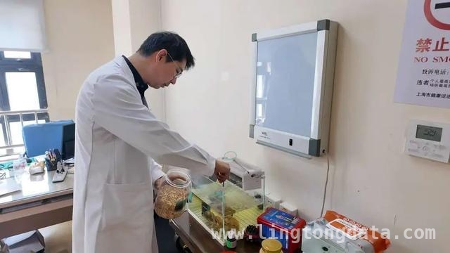 安宁疗护病区：张国君医生为患者和家属带来双向治愈 张国君：在安宁疗护病区书写生命关怀的故事