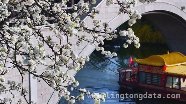 清明画卷：英烈精神与春日活力交织，清明：追思英烈，拥抱自然新风尚