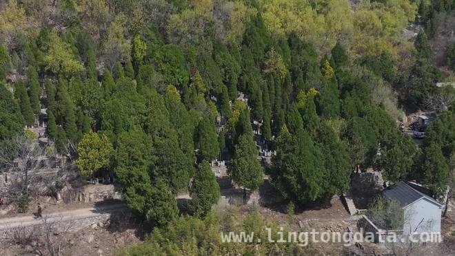 泰山景区多举措筑牢清明森林防火防线 清明防火！泰山景区全力守护山林安全