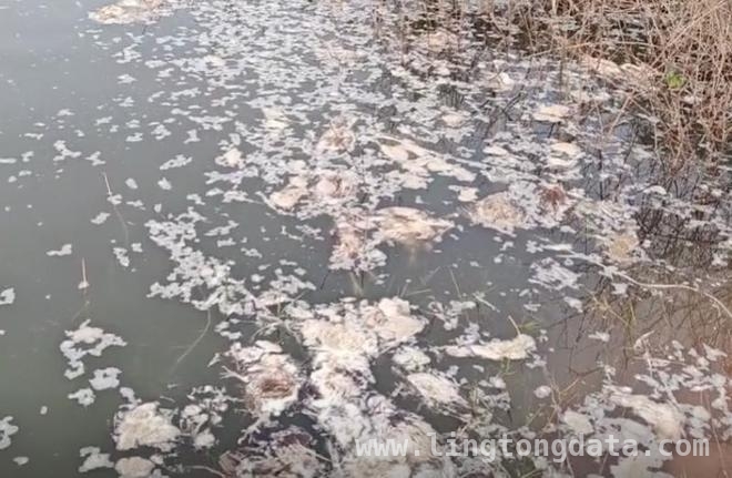 惊！海南儋州水库竟成死鸡“归宿”，海南儋州：水库投放死鸡事件尘埃落定？