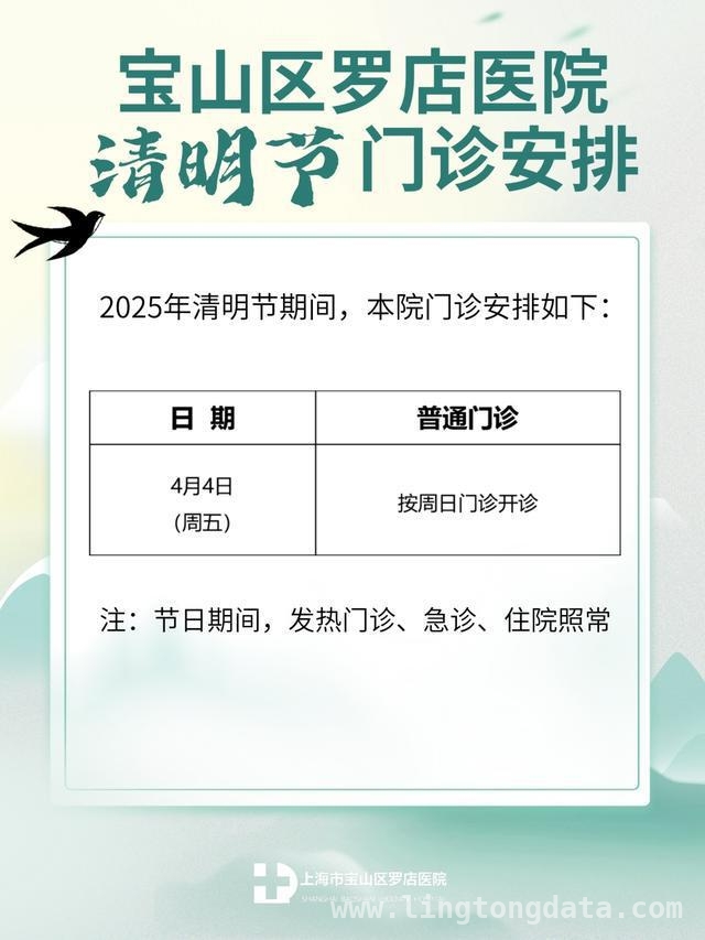 清明假期宝山医院与社区卫生中心门急诊时间大揭秘，清明宝山行，这些医院和社区卫生中心时间安排你得知道