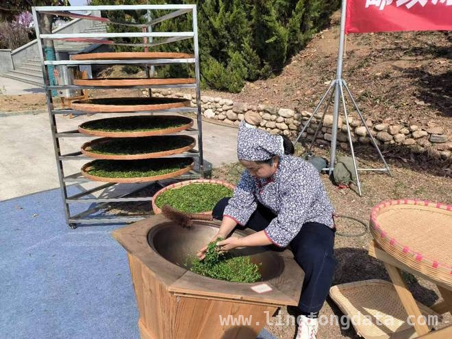 邮政助力，泰山春茶电商季点燃岱岳区消费新引擎