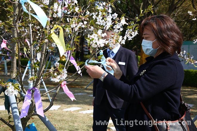 上海海葬纪念活动：新服务模式与文化保存计划齐登场 上海海葬34周年纪念活动开启，海葬服务迈入新阶段