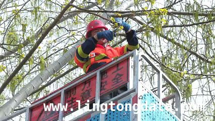春暖花开杨柳飞絮至，北京市民需做好防护