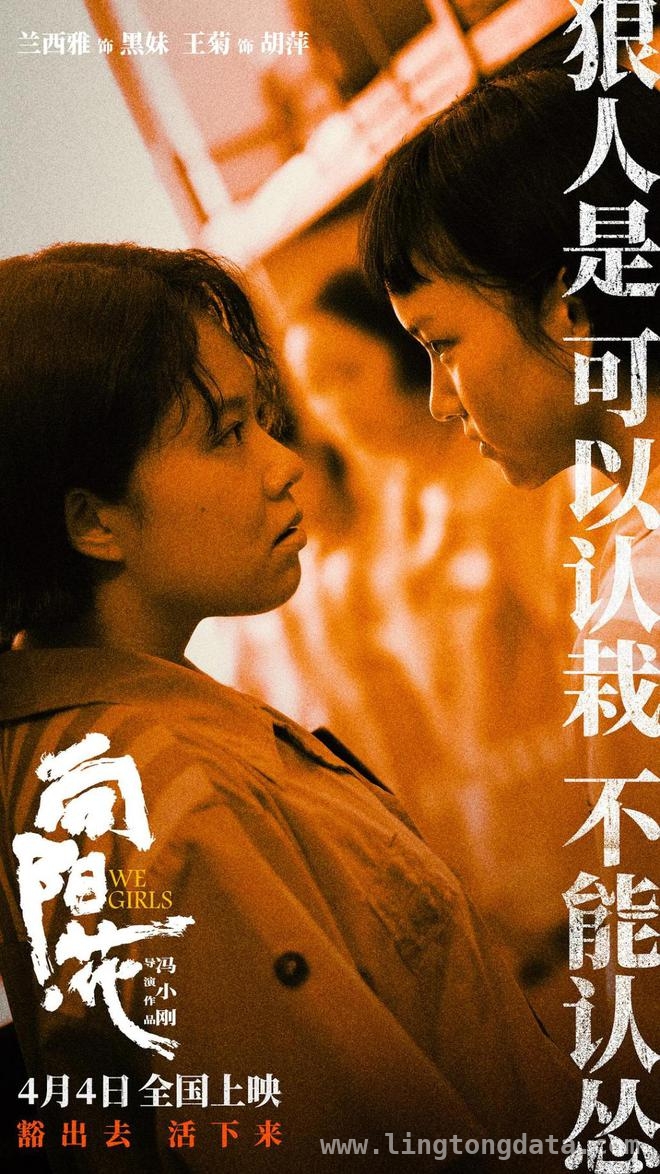 向阳・花：撕开底层女性命运的残酷面纱，向阳・花：聚焦底层女性，直面社会隐痛