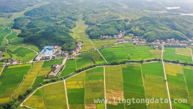 农业新宠“黑松土活化肥”：让土地重焕生机，解码“黑松土活化肥”：重构土壤生命力的秘密武器