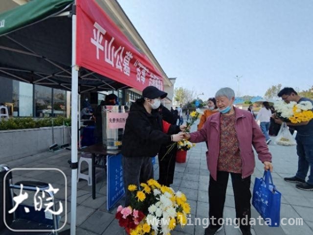2025 清明，蚌埠平山公墓引领文明祭扫与绿色殡葬新风潮