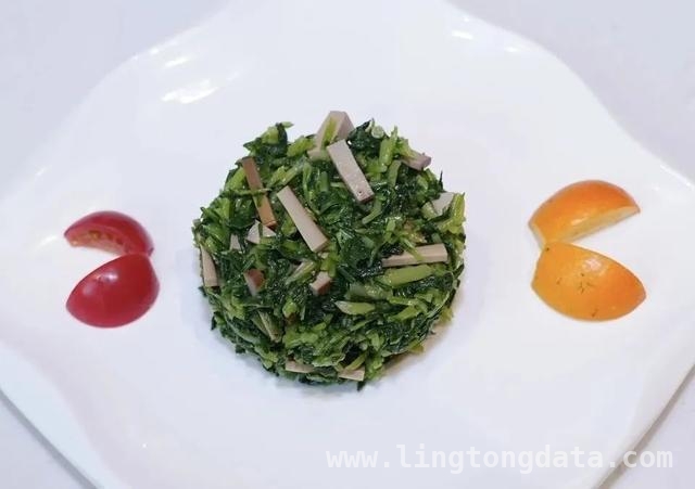 探秘东平森林花朝节：亲子露营的绝佳之选！