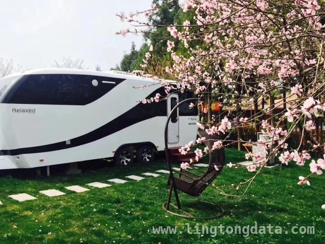 探秘东平森林花朝节：亲子露营的绝佳之选！