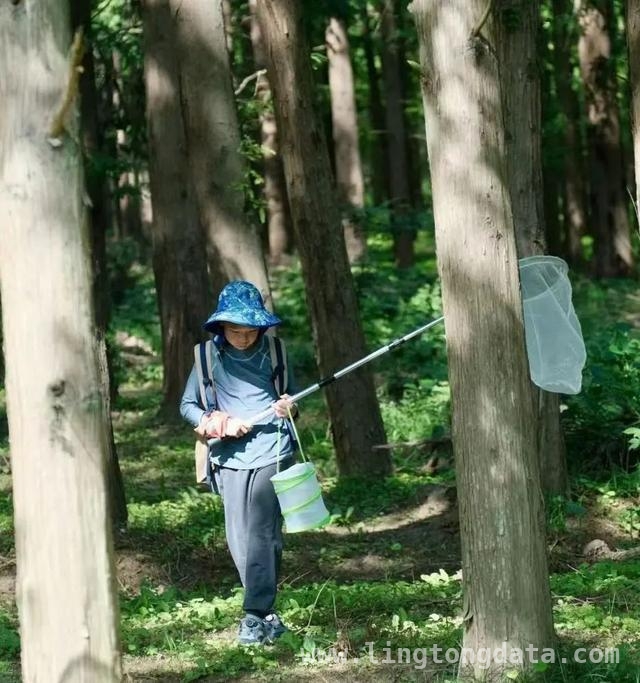 探秘东平森林花朝节：亲子露营的绝佳之选！