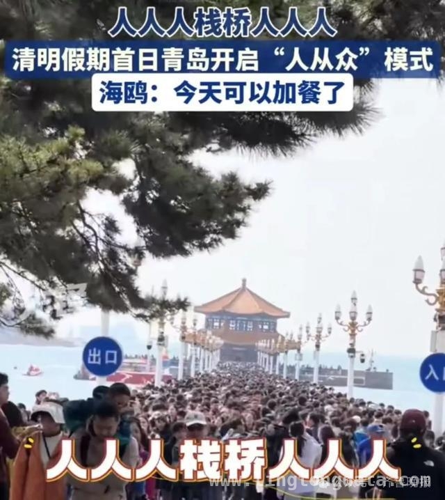 清明假期：景区“人挤人”，高铁热门线路一票难求，清明假期开启，“人潮景区”与“热门高铁圈”共掀旅游热潮