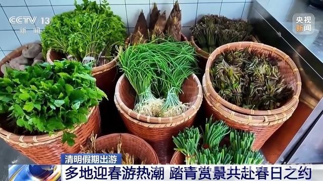 清明假期：数字沉浸文旅遇热，多地春游正当时，清明时节，数字文旅新体验与多地春游盛景共绽光彩