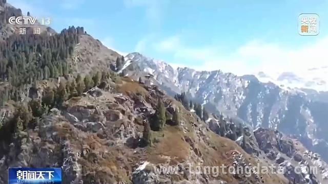 清明假期：数字沉浸文旅遇热，多地春游正当时，清明时节，数字文旅新体验与多地春游盛景共绽光彩