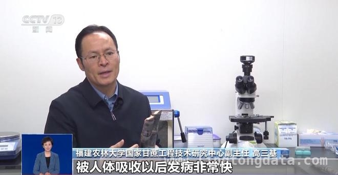 清明甘蔗真的“毒过蛇”？真相大揭秘，破解“清明蔗，毒过蛇”谣言，教你选甘蔗