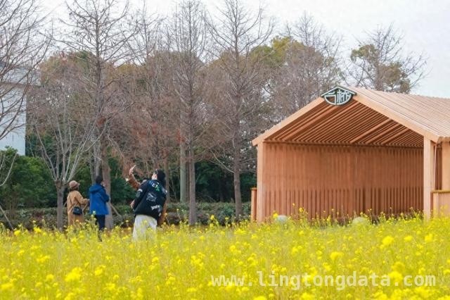 上海桃花节规模升级，合庆郊野公园春日赏花之旅等你开启