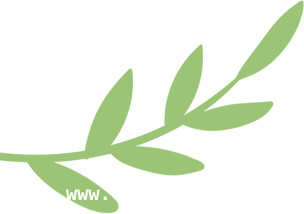 西渡街道基层治理新举措，打造和美社区新典范，西渡街道：以“和美行动”为钥，开启基层治理新篇章