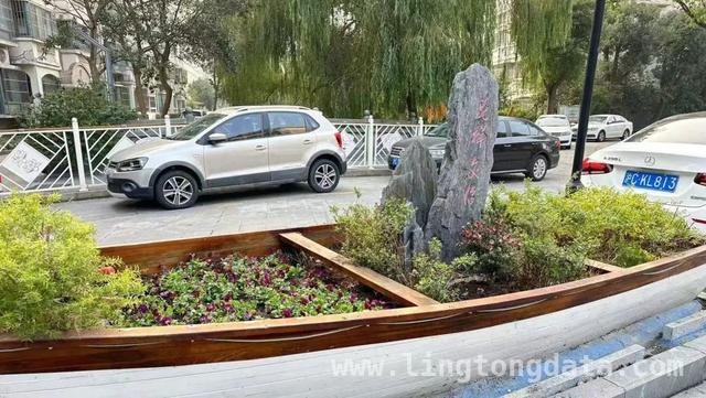西渡街道基层治理新举措，打造和美社区新典范，西渡街道：以“和美行动”为钥，开启基层治理新篇章